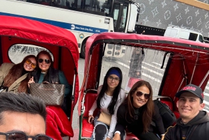 NYC: Privat tur i Central Park