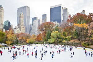 NYC: Privat tur i Central Park
