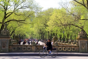 NYC: Privat tur i Central Park