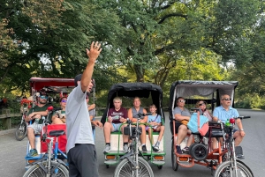 NYC: Privat tur i Central Park