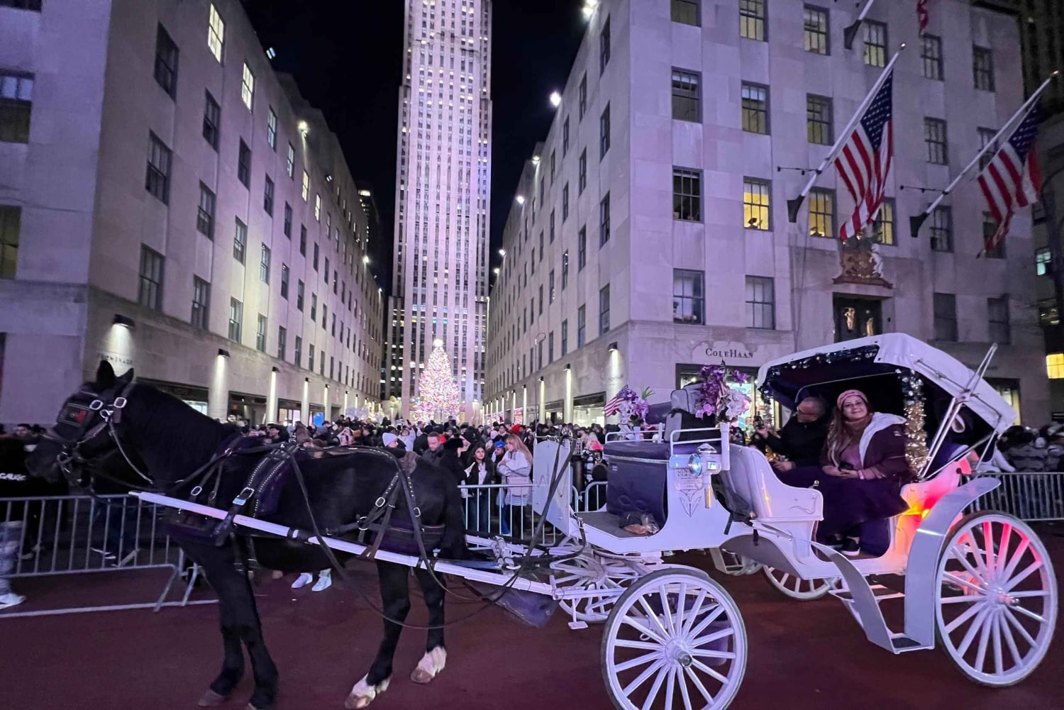 ニューヨーククリスマス・イルミネーション馬車