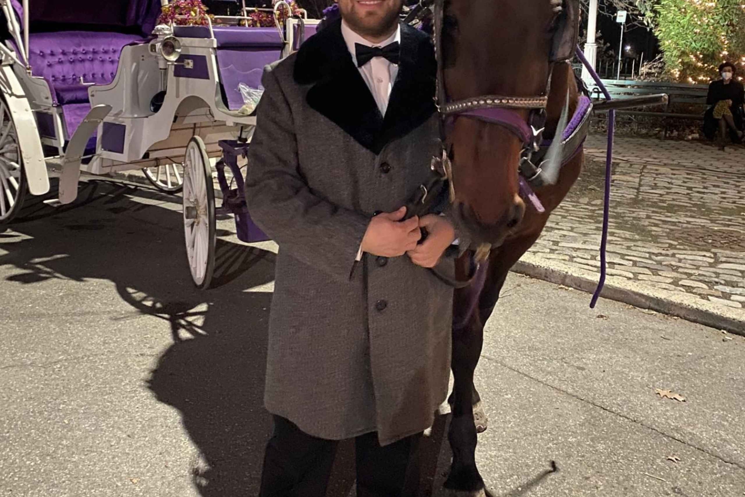 ニューヨーククリスマス・イルミネーション馬車