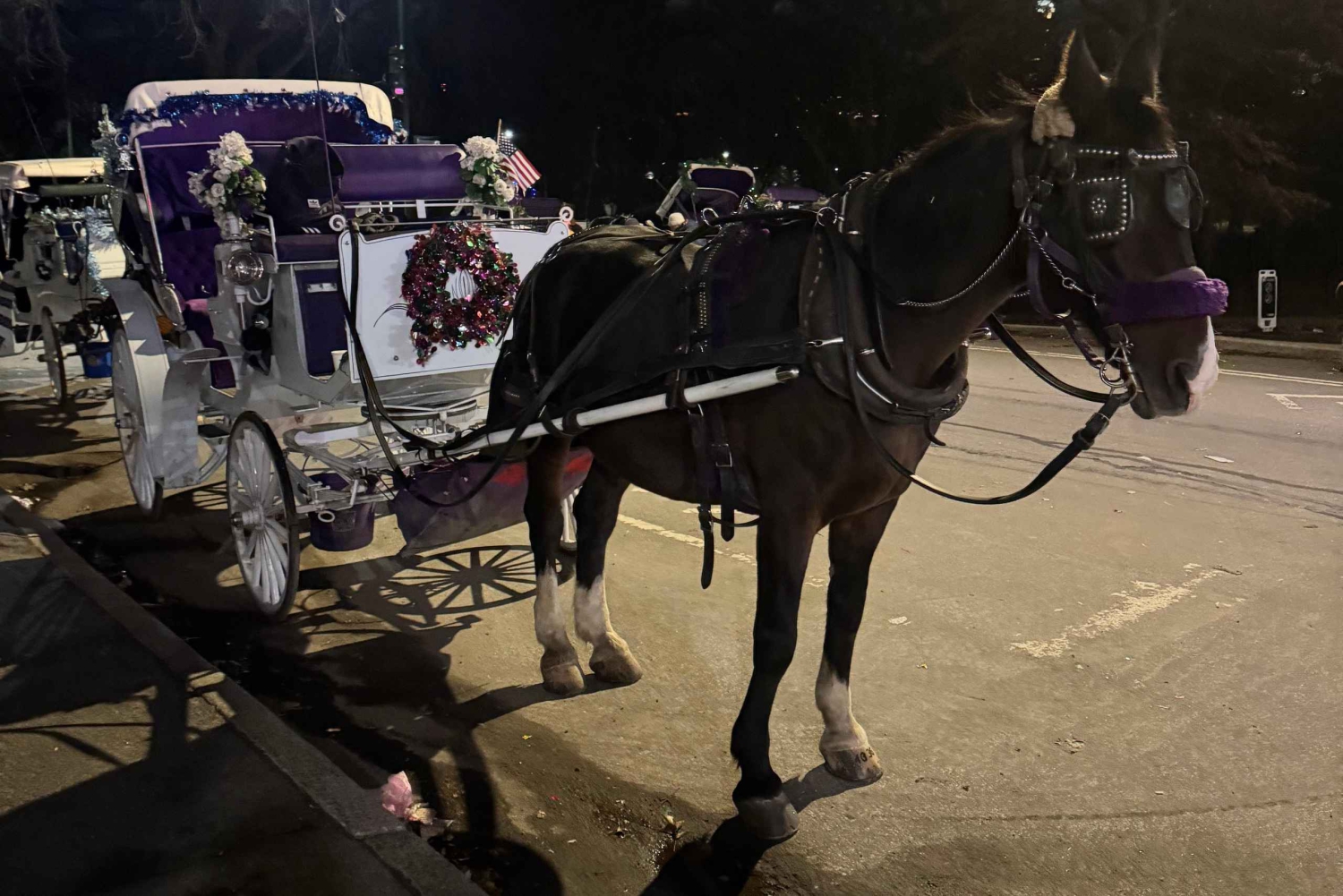 ニューヨーククリスマス・イルミネーション馬車