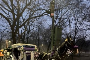 NYC: Privat tur med häst och vagn i julbelysning