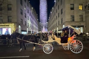 NYC: Privat tur med häst och vagn i julbelysning