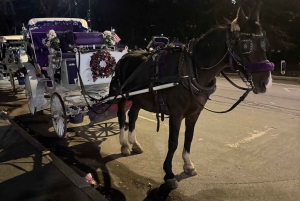 ニューヨーククリスマス・イルミネーション馬車