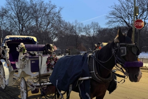 ニューヨーククリスマス・イルミネーション馬車