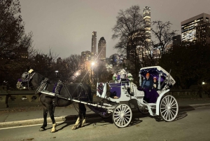 ニューヨーククリスマス・イルミネーション馬車