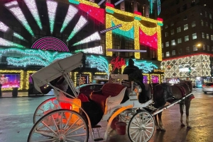 NYC: Paardentocht met kerstverlichting