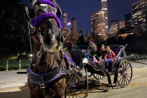 NYC: Paardentocht met kerstverlichting