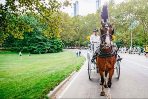 NYC: Paardentocht met kerstverlichting