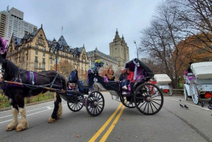 NYC: Paardentocht met kerstverlichting