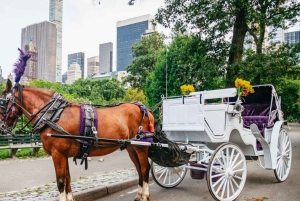 NYC: Paardentocht met kerstverlichting