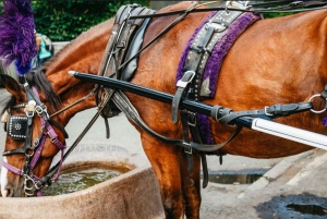 NYC: Paardentocht met kerstverlichting