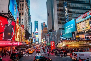 NYC: Paardentocht met kerstverlichting