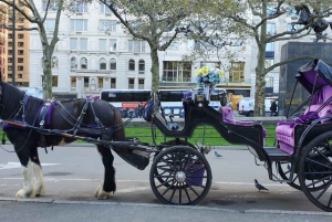 NYC: Paardentocht met kerstverlichting