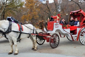 NYC: Paardentocht met kerstverlichting