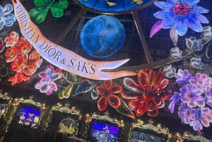 NYC: Paardentocht met kerstverlichting