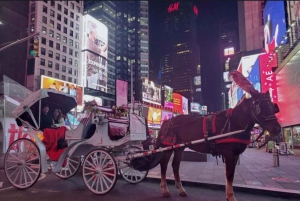 NYC: Paardentocht met kerstverlichting