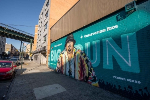 NYC : Visite privée contrastée de New York