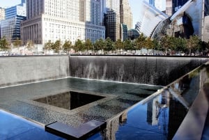 NYC: Private Luxury Tour of NYC With Transportation