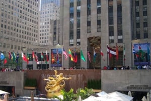 NYC: Private Luxury Tour of NYC With Transportation