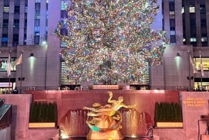 NYC:Promenade privée en calèche au clair de lune et aux lumières de Noël