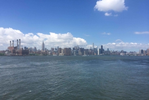 NYC: Privat, personlig rundvisning med chauffør og guide