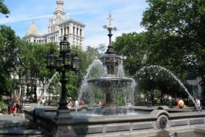 NYC Privat rundtur Historiska Manhattan och finansdistriktet
