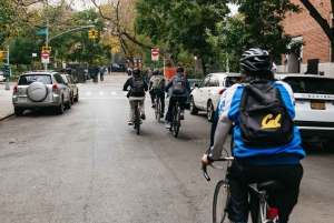 NYC: Radikale und verrückte Geschichte Fahrradtour durch Manhattan