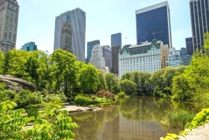NYC: Secrets of Central Park Guided Private Tour