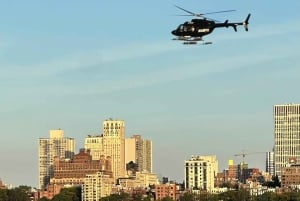 Croisière panoramique : la ligne d'horizon de New York et la Statue de la Liberté