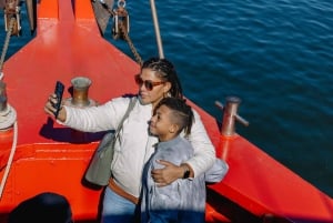 Croisière panoramique : la ligne d'horizon de New York et la Statue de la Liberté