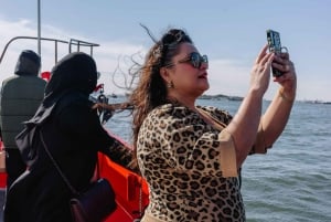 Croisière panoramique : la ligne d'horizon de New York et la Statue de la Liberté