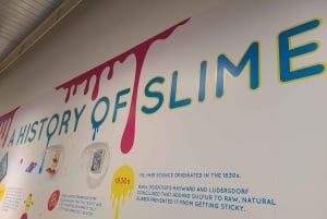 NYC : Ticket d'entrée à l'Institut Sloomoo