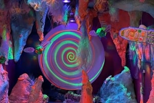 NYC : Ticket d'entrée à l'Institut Sloomoo