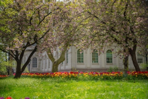 ニューヨーク：ソーホー、リトルイタリー、チャイナタウンのガイド付きツアー