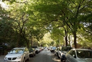 NYC: Soho, Little Italy og Chinatown Privat tur til fods