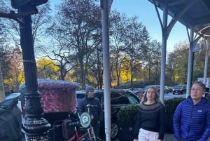 NYC: Romanttinen hevoskärryajelu Central Parkissa