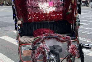 NYC: Romanttinen hevoskärryajelu Central Parkissa