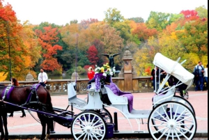 NYC: Romanttinen hevoskärryajelu Central Parkissa