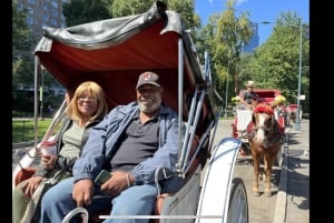 NYC: Romanttinen hevoskärryajelu Central Parkissa