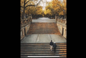 NYC: Romanttinen hevoskärryajelu Central Parkissa