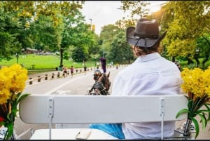 NYC: Romanttinen hevoskärryajelu Central Parkissa