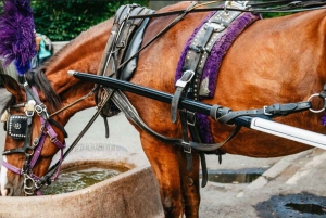 NYC: Romanttinen hevoskärryajelu Central Parkissa