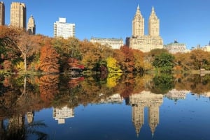 NYC St Patricks Cathedral Tour & 30+ Top Sights Tour a pie