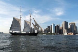 NYC: Passeio de um dia pela Estátua da Liberdade com bar a bordo