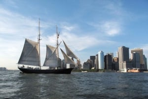 NYC: Vrijheidsbeeld dagtocht met bar aan boord