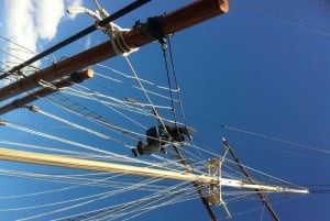 NYC: Vrijheidsbeeld dagtocht met bar aan boord