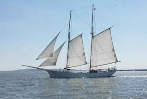 NYC: Vrijheidsbeeld dagtocht met bar aan boord